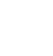 ICONOS-08