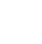 ICONOS-12