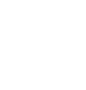iconos-13
