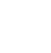 ICONOS-08
